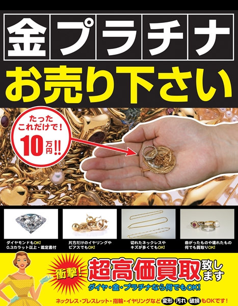 金プラA3.jpg