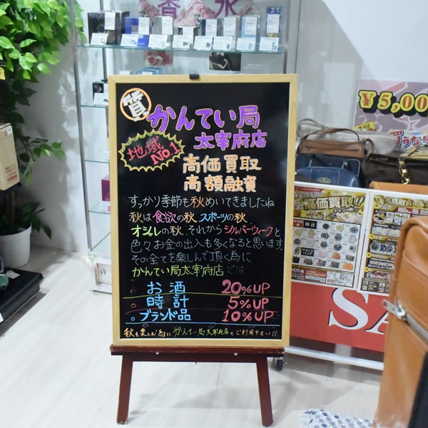 DSC_9091.JPG